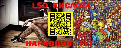 прущие грибы Кунгур