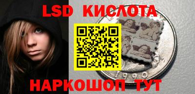 прущие грибы Кунгур