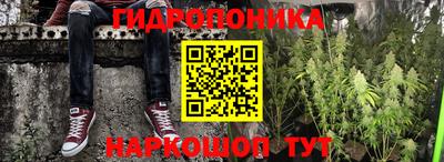 прущие грибы Кулебаки
