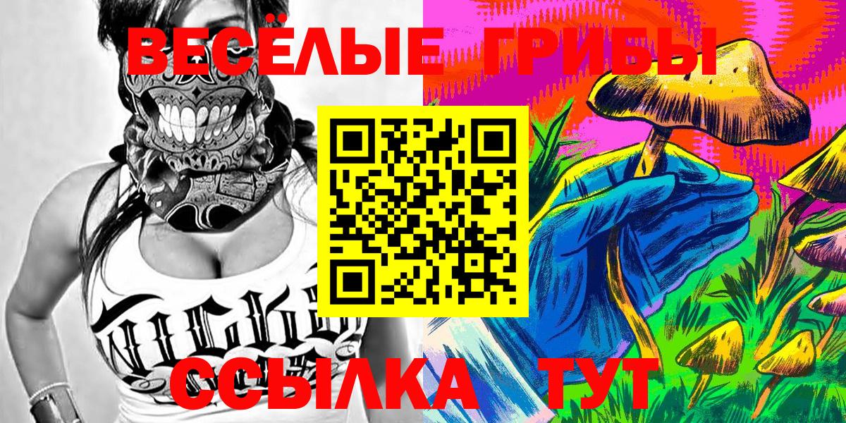 Гусев  Галлюциногенные грибы Cubensis  Вход с VPN  Галлюциногенные грибы MAGIC MUSHROOMS 