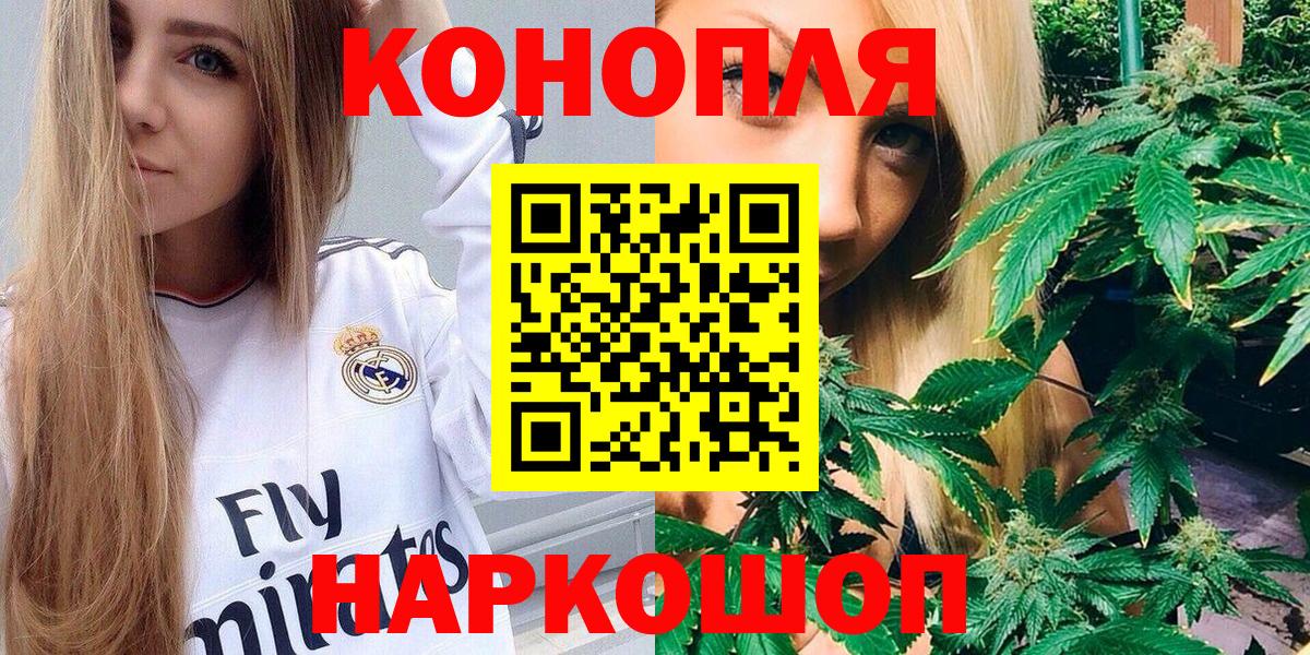 Конопля индика Гусев
